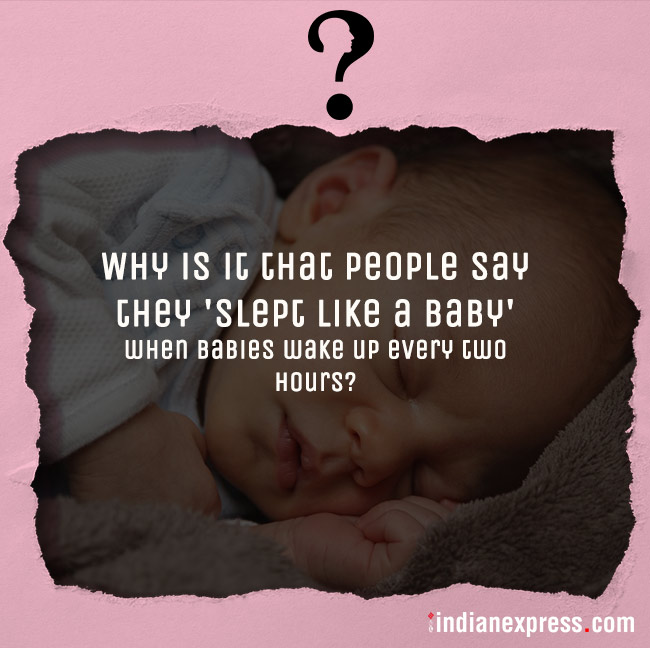 life's biggest questions, weird life questions, most funny questions, life, philosophical questions about life, quirky questions, questions about life, funny picture gallery, Indian express, Indian express news