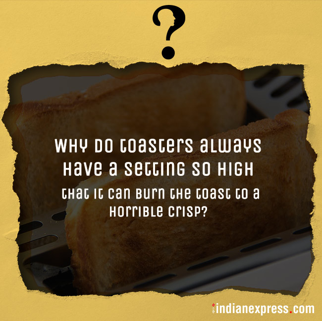 life's biggest questions, weird life questions, most funny questions, life, philosophical questions about life, quirky questions, questions about life, funny picture gallery, Indian express, Indian express news