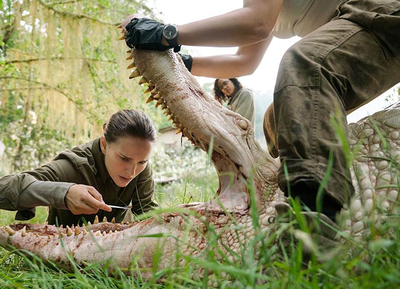 annihilation