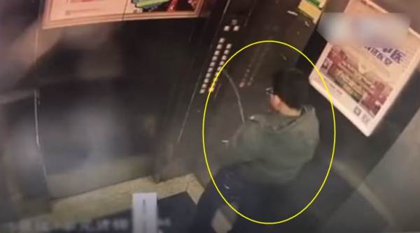 viral video, funny kid video, kid peeing in elevator video, funny karma video, indian express, indian express news