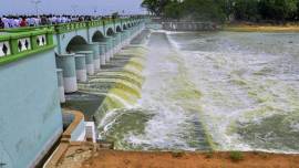Cauvery row: Kannada outfits call for Karnataka bandh on April 12
