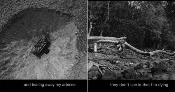 cauvery, kaveri, cauvery river, history of kaveri river, Cauvery water dispute, Supreme Court verdict on Cauvery, What is Cauvery Verdict, Cauvery Verdict means, Cauvery final verdict, Cauvery water dispute verdict, Karnataka, Tamil Nadu, Indian Express