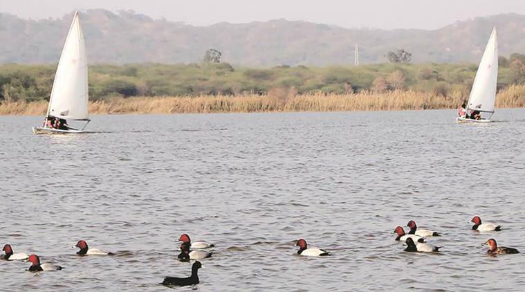Chandigarh Weather, Chandigarh Temperature, Chandigarh Met Department, Met Department Chandigarh, Chandigarh News, Latest Chandigarh News, Indian Express, Indian Express News