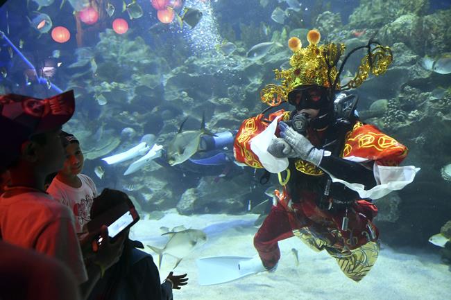 Chinese new year, lunar new year, chinese new year 2018, chinese year of dog, dog lunar new year, chinese new year photos, chinese lunar new year images, chinese new year celebrations, china lunar new year,