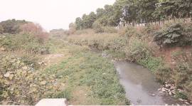 mohali, N-choe, N-choe cleaning, mohali municipal corporation, chandigarh news, mohali drainage, GMADA, greater mohali area development authority, indian express