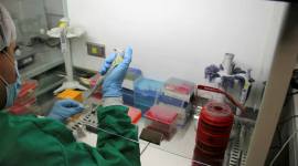 DNA sequencing, US startup buys DNA, genetic data, Nebula Genomics, cryptocurrencies, pharmaceutical companies, genetic sequestration, DNA data, Bitcoin