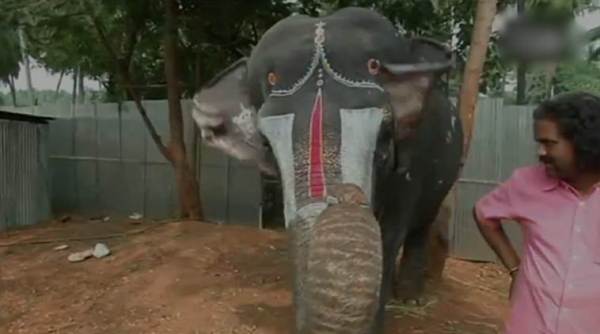 animal video, elephant video, elephant playing mouth organ video, viral video, indian express, indiane express news