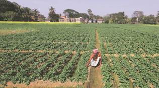 Finance Minister Arun Jaitley presents pro-farmer Union Budget 2018