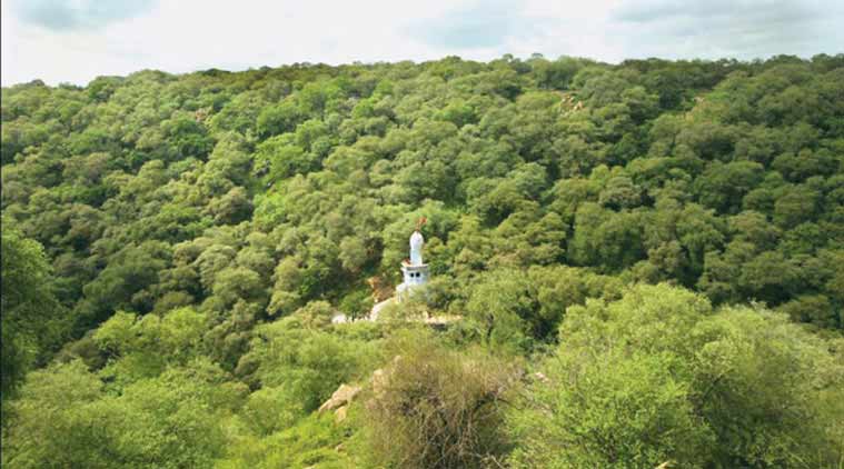 Maharashtra will try digital route to review lakhs of forest rights claims 