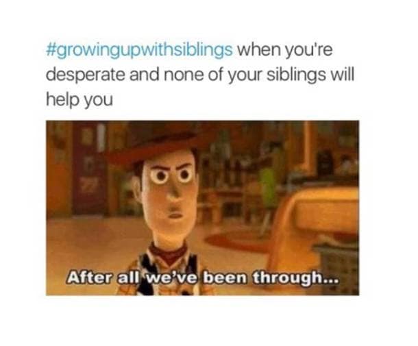 Growing Up With Siblings: 20 hilarious memes that sum up the love-hate