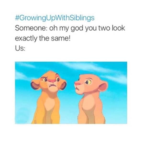 Growing Up With Siblings 20 Hilarious Memes That Sum Up The Love Hate 