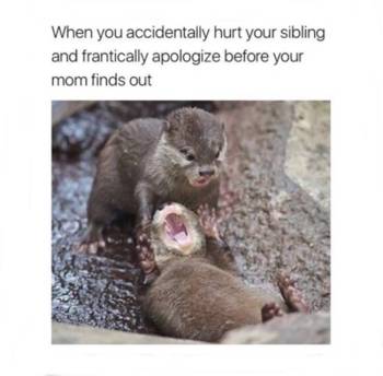 Growing Up With Siblings: 20 hilarious memes that sum up the love-hate  relationship | Trending Gallery News,The Indian Express