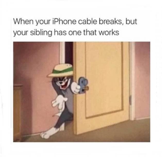 growing up with siblings, siblings memes, sibling jokes, siblings tweets, siblings comics, siblings twitter memes, siblings cartoons, siblings gif, indian express, indian express news