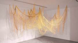 gold fishing net, gold thread, centre of exhibit, indian express, india news, latest news 