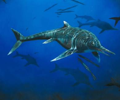Sea-going reptiles, 200 million year old reptile, University of Manchester, Jurassic period reptile, Leicester's New Walk Museum and Art Gallery, ichtyosaur species, palaentologists, age of dinosaurs