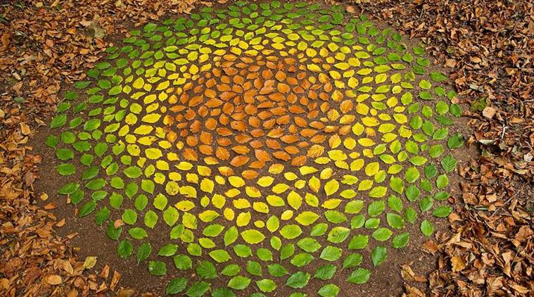 Artist creates colourful patterns using dried leaves, twigs, pebbles ...