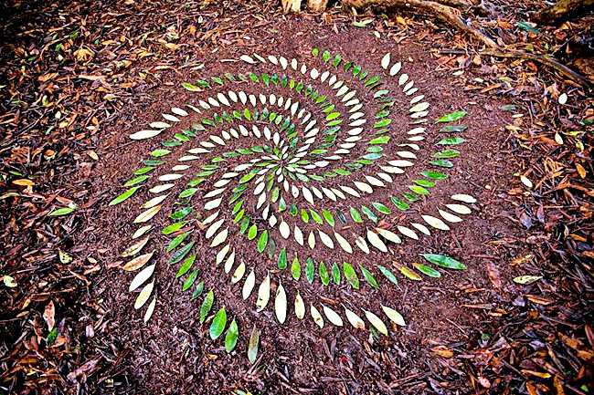 James Brunt, artist James Brunt, James Brunt facebook, James Brunt twitter, James Brunt makes art from natural objects, art from natural objects, viral pictures, viral pictures facebook, social media viral, indian express, indian express news
