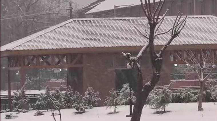 Jammu and Kashmir Snowfall, Srinagar Snowfall, J-K Snowfall, Snowfall, Snowfall Jammu and Kashmir, Snowfall Srinagar, India News, Indian Express, Indian Express News