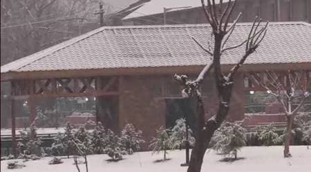 Jammu and Kashmir Snowfall, Srinagar Snowfall, J-K Snowfall, Snowfall, Snowfall Jammu and Kashmir, Snowfall Srinagar, India News, Indian Express, Indian Express News