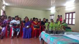 Kerala 759 no alt set