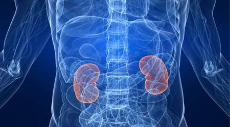 kidney diseases, renal disease, kids renal failure, children kidney disease, children iq level,
