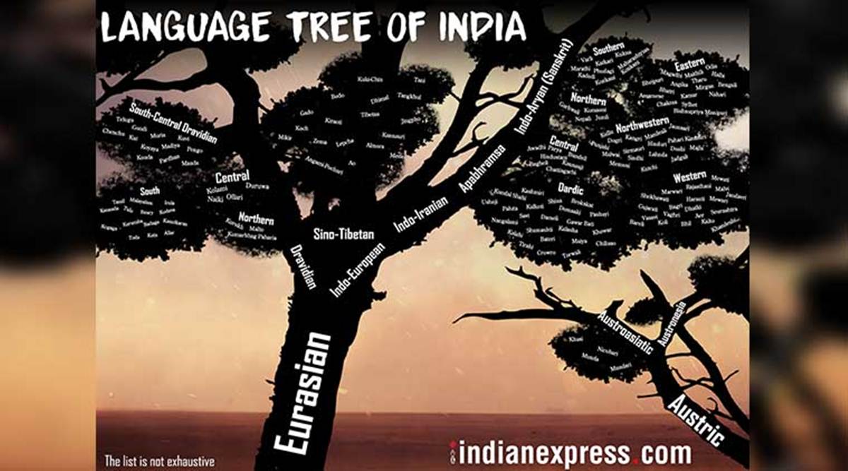 There Are 600 Potentially Endangered Languages In India Each Dead Language Takes Away A Culture System Research News The Indian Express