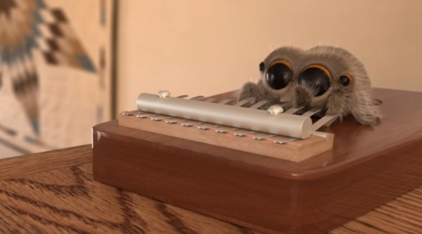 musical spider, lucas musical spider, cute spider, cutest videos, viral videos, funny videos, cute spider videos, Indian express, indian express news