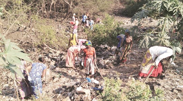 Mangrove Cell drive: Poor pay to workers causes clean-up delay | Mumbai ...