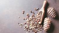 nuts Pine nuts, Nuts benefits, pea nuts, Chilgoza, fatty acid, healthy foods, pine nuts benefits, why should you eat pine nuts, chilgoza benefits, health news, indian express