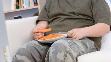 gut bacteria, obesity risk, bacteria obesity, gut bacteria obesity, indian express, indian express news