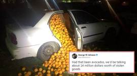 orange, orange in spain, caught stealing oranges, caught stealing oranges in Spain