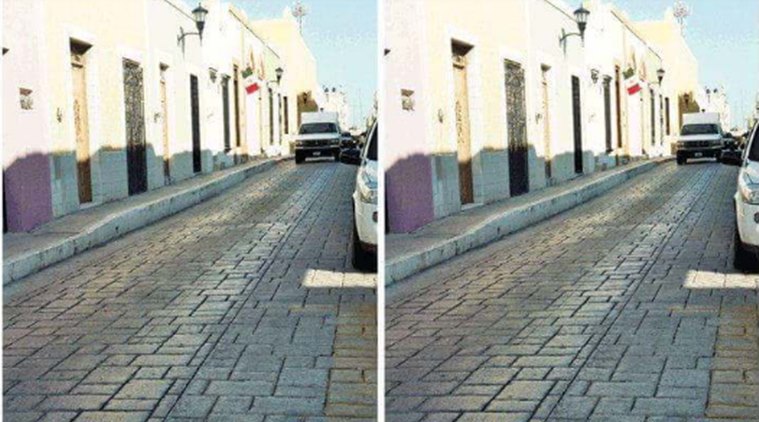 identical photo quiz, pics looking same, same images, confusing same picture, viral photos, Indian express, Indian express news