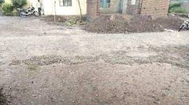 maharashtra weather, rain, thunderstorm, hail, wheat crop, orange, santra crop, weather prediction, indian express