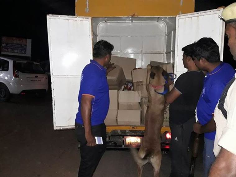 red sanders smuggling from Andhra to Chennai port