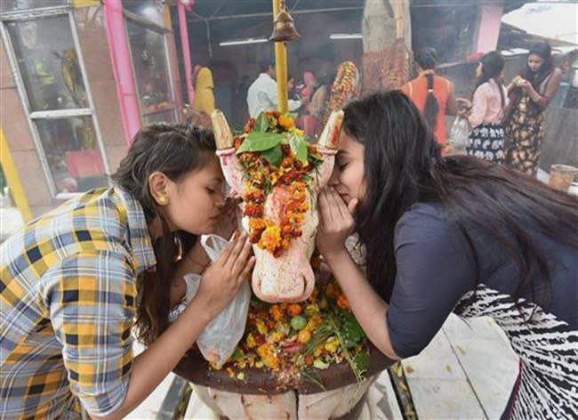 Maha Shivratri, Maha Shivratri latest photos, Maha Shivratri puja photos, Maha Shivratri celebrations, Maha Shivratri photos, Maha Shivratri festivities in India