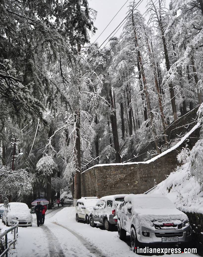 Snowfall, Snowfall in Shimla, Shimla snowfall, Srinagar snowfall, Snow fall photos, Snow fall pictures, India news, indian express news