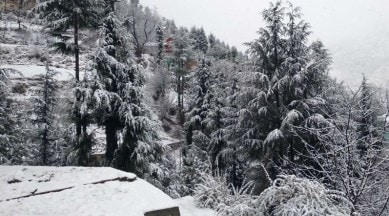 snowfall in kashmir, kashmir snowfall, fresh snow in kashmir pics, kashmir receives fresh snowfall pics, kashmir receives fresh snow, Indian Express, Indian Express news