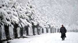 Srinagar receives season's first snowfall