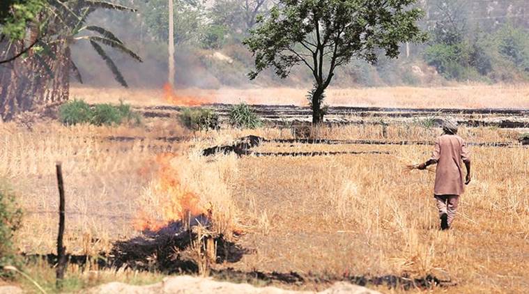 stubble burning, farmers, crop residue, illegal, environment pollution, harvest season, cultivation, punjab fields, Punjab news, Indian Express