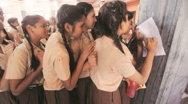 Clearing fog on evolution for students — with genetics