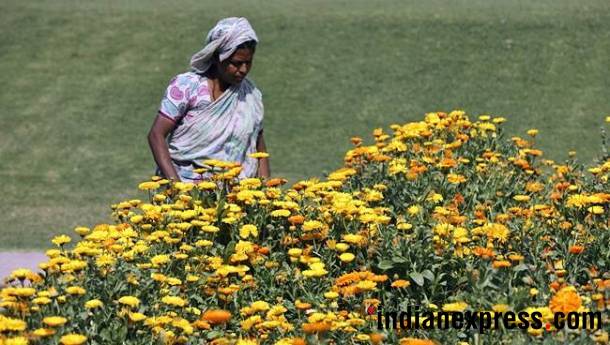 Sunder Nursery, Sunder Nursery new Delhi, central park delhi, Sunder Nursery Nizamuddin, Vice-President Venkaiah Naidu Sunder Nursery, Sunder Nursery pictures, Sunder Nursery places to visit in Delhi, places to visit in Delhi, best places in Delhi, Indian express