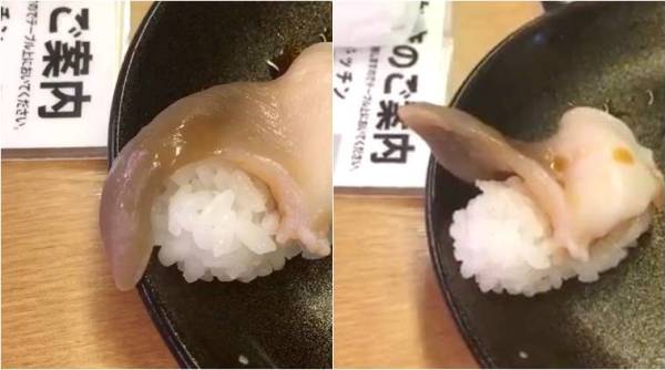 sushi moving video, sushi video, viral video, food video, social media viral, Indian express