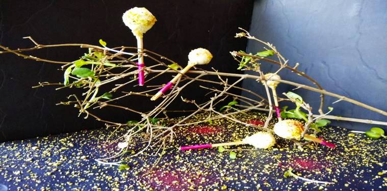 Holi 2018. Holi recipes, Holi dessert recipes, Holi ice cream recipes, Holi shrikhand, Holi thandai, Holi anjeer, indian express, indian express news