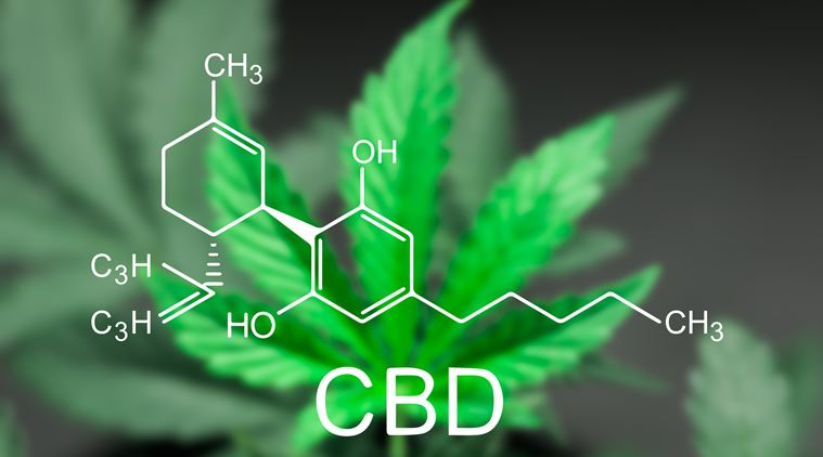 CBD formula cannabis leaf