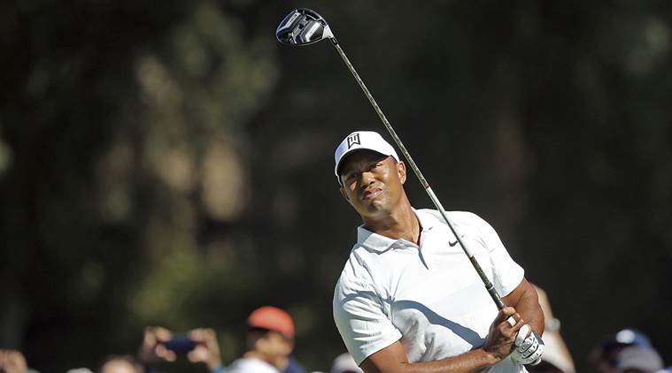 Tiger Woods will vice-captain in Ryder Cup.