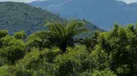 Regional cooling, localised temperatures, University of New South Wales, climate change, ARC Centre For Excellence on Climate Extremes, climate engineering, extreme temperatures, aerosols, land based radiations