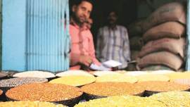Maharashtra, Maharashtra tur daal prices, Maharashtra chana, Maharashtra tur daal subsidy, maharashtra govt, indian express news