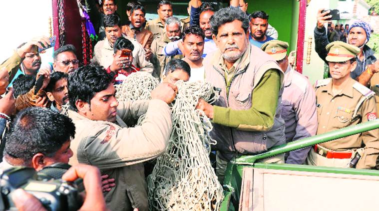 Leopard in Lucknow village: Trapped for two days, dead on third; Cop ...