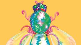 The Irregulars Art Fair at India Art Fair