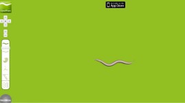 Worm nervous system, C elegans, TU Wein, computer program, OpenWorm, artificial C elegans, circuit diagram, computer software, neural circuit, artificial reflew network